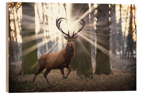 Holzbild Mystischer Hirsch