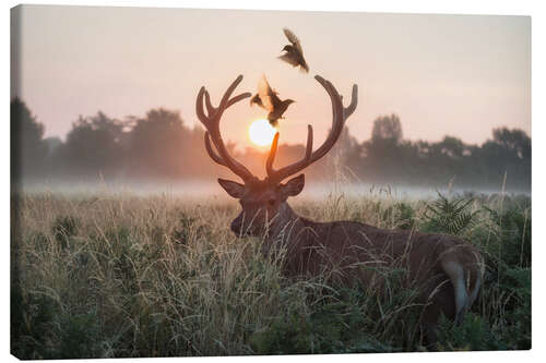 Lærredsbillede Dance of the twilight