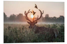 Foam board print Dance of the twilight