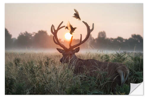 Selvklebende plakat Dance of the twilight