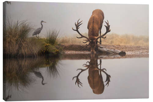 Leinwandbild Hirsch und Reiher im Nebel