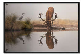 Gerahmter Kunstdruck Hirsch und Reiher im Nebel