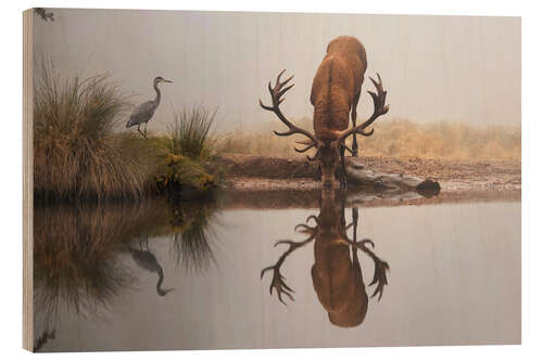 Stampa su legno Stag and heron in fog