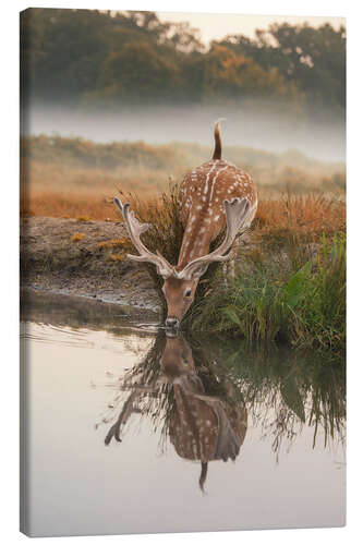 Canvas print A little refreshment