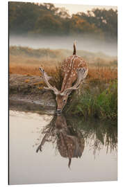 Magnettafel Eine kleine Erfrischung