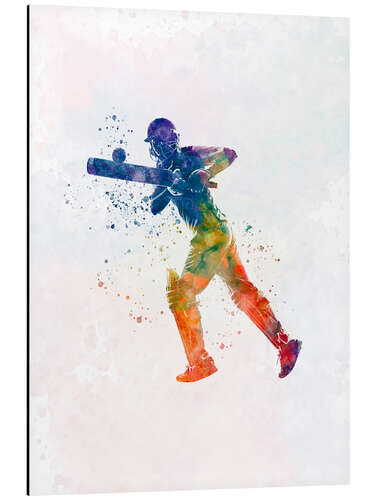 Aluminium print Cricket player VI