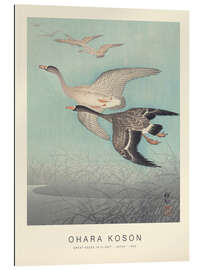 Gallery print Great geese in flight