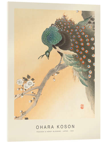 Acrylic print Peacock & Honey Blossom, 1926