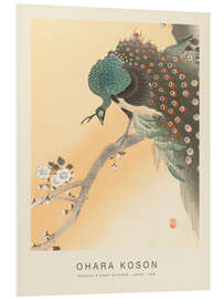 Foam board print Peacock &amp; Honey Blossom, 1926