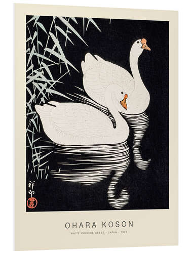 PVC print White Chinese Geese, 1926