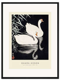 Gerahmter Kunstdruck Weiße Chinesische Gänse, 1926