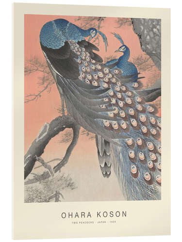Cuadro de metacrilato Two Peacocks, 1926