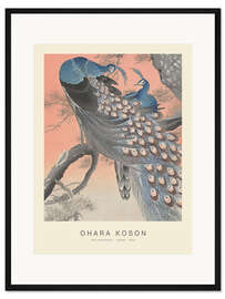 Gerahmter Kunstdruck Zwei Pfauen, 1926