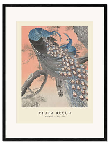 Framed art print Two Peacocks, 1926