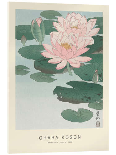 Quadro em acrílico Water Lily, 1926