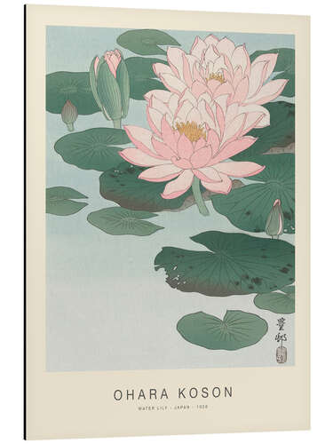 Aluminium print Water Lily, 1926