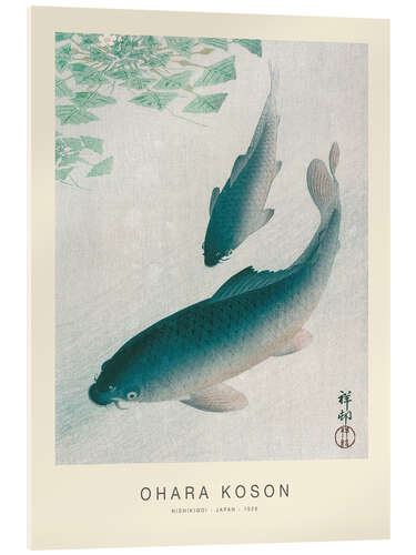 Acrylglasbild Nishikigoi, Zwei Karpfen, 1926