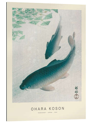 Gallery print Nishikigoi, Two Koi Carp Fish, 1926