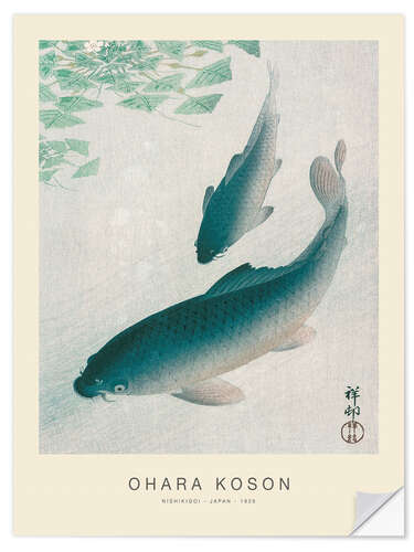 Selvklæbende plakat Nishikigoi, Two Koi Carp Fish, 1926