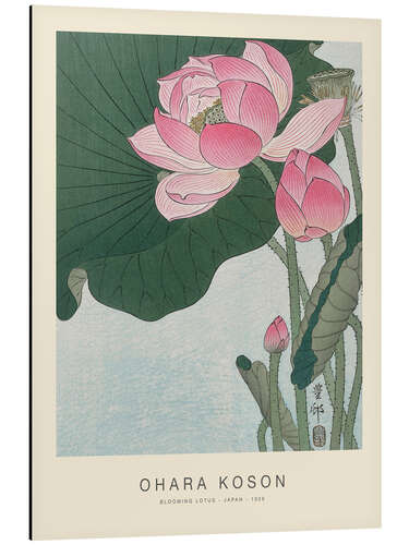 Quadro em alumínio Blooming Lotus, 1926