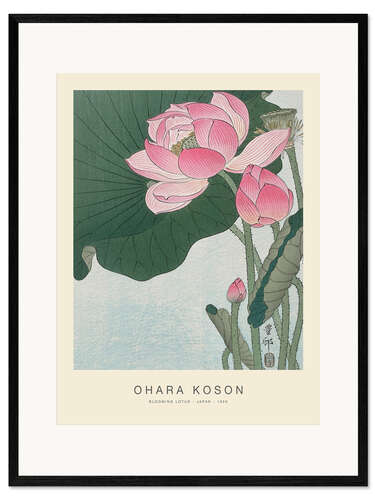 Kunsttryk i ramme Blooming Lotus, 1926