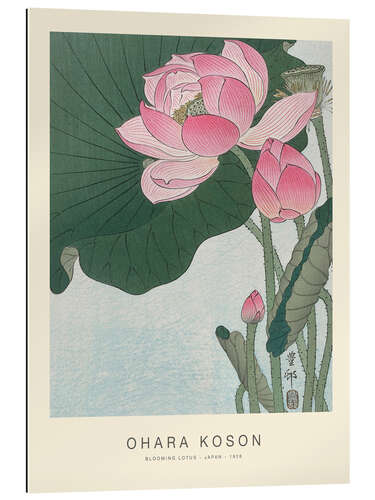 Gallery print Blooming Lotus, 1926