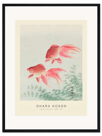 Gerahmter Kunstdruck Two Veil Goldfish, 1926 - Ohara Koson