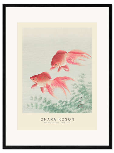 Plakat artystyczny premium w ramie Two Veil Goldfish, 1926