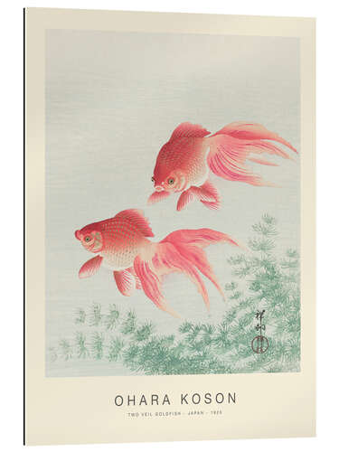 Gallery Print Two Veil Goldfish, 1926