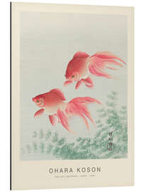 Magnettafel Two Veil Goldfish, 1926