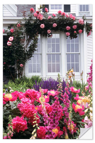 Naklejka na ścianę Nostalgic rose garden