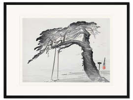 Gerahmter Kunstdruck The Old Pine Tree