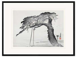 Framed art print The Old Pine Tree