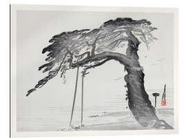 Gallery print The Old Pine Tree