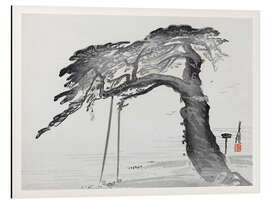 Magnettafel The Old Pine Tree