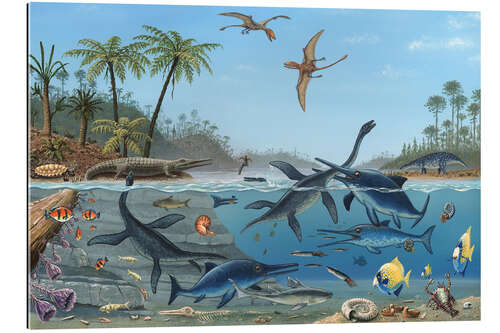 Gallery print Life in the Jurassic Sea