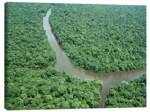 Tableau sur toile Estuaire de l'Amazone