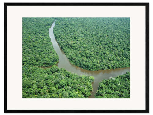 Framed art print Amazon estuary