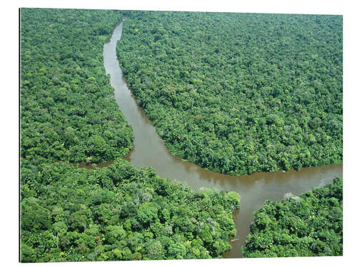 Galleritryk Amazon estuary