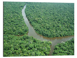 Magnettafel Amazonas-Mündung