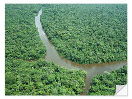 Selvklebende plakat Amazon estuary