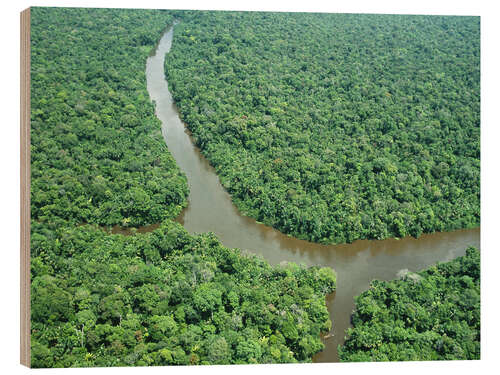 Hout print Amazon estuary