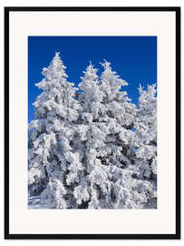 Stampa artistica con cornice Frozen trees in Switzerland