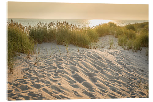 Acrylglas print Sunrise in the Ellenbogen Nature Reserve, Sylt