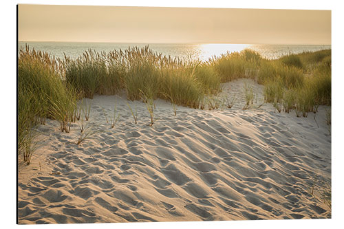 Alubild Sonnenaufgang im Naturschutzgebiet Ellenbogen, Sylt