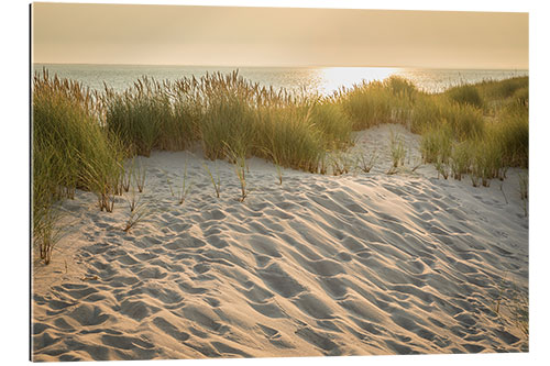 Tableau en plexi-alu Sunrise in the Ellenbogen Nature Reserve, Sylt