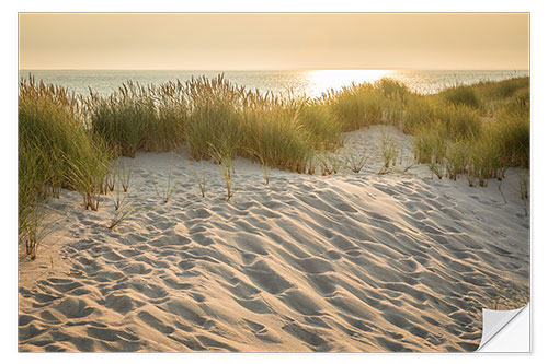 Selvklebende plakat Sunrise in the Ellenbogen Nature Reserve, Sylt