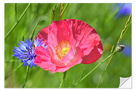 Vinilo para la pared Blossom magic - poppy and cornflower