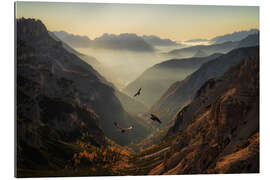 Gallery print Fly away in the Italian Dolomites