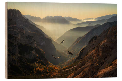 Wood print Fly away in the Italian Dolomites